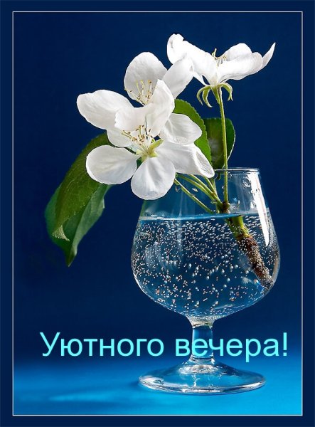 Цветочки в бокале