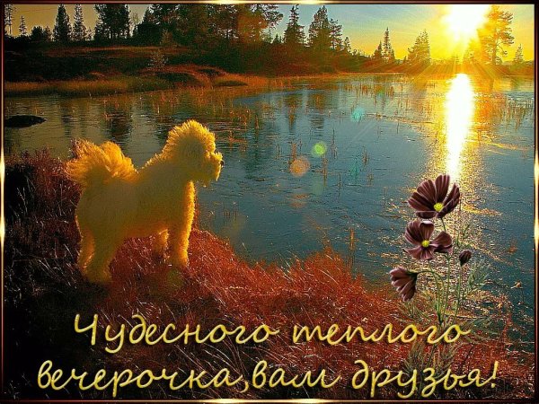 Открытки добрый вечер