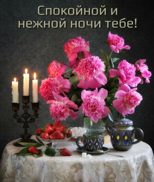 Доброй ласковой ночи