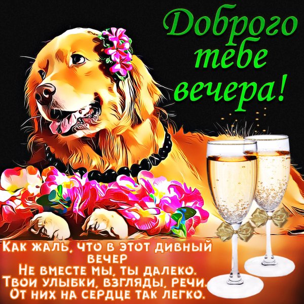Поздравления с вечером прикольные