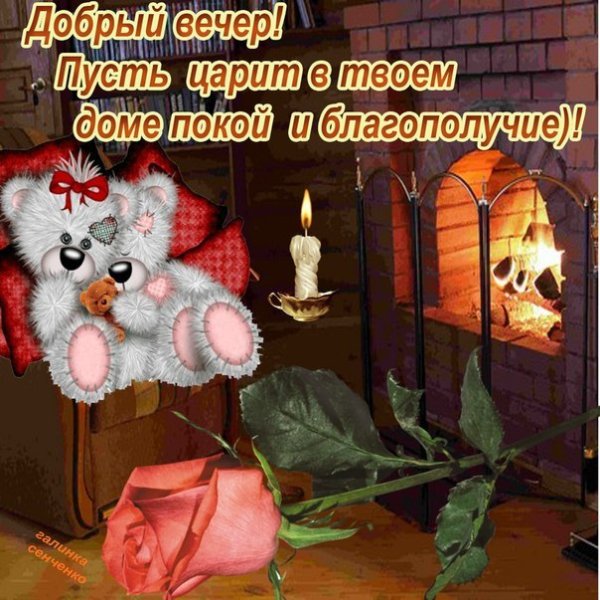 Прикольные пожелания доброго вечера