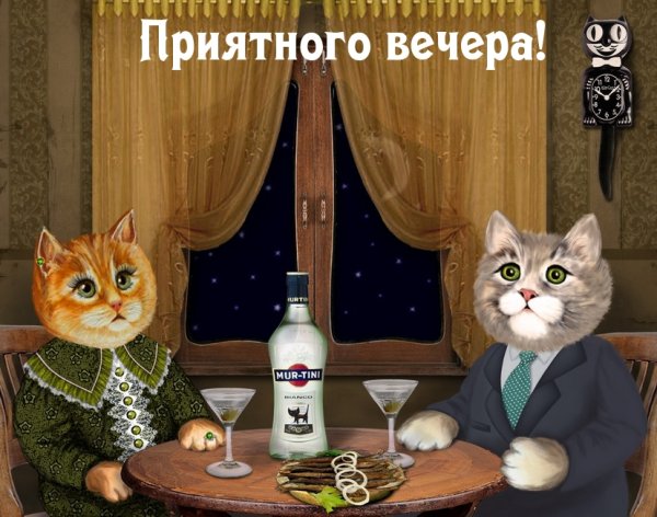 Приятного вечера с котиками
