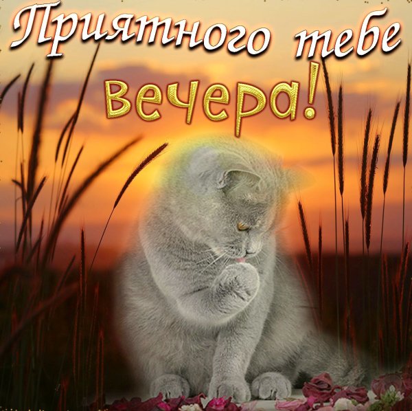 Открытки добрый вечер