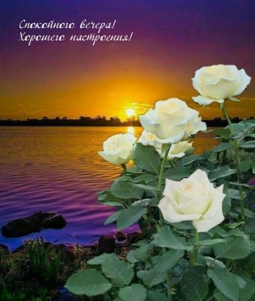 Добрый вечер природа