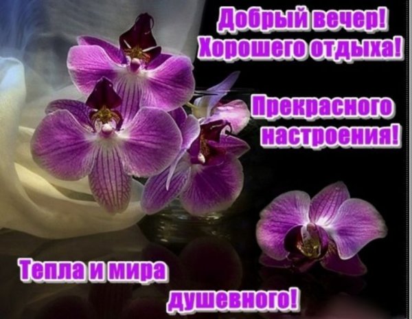 Доброго вечера и прекрасного настроения