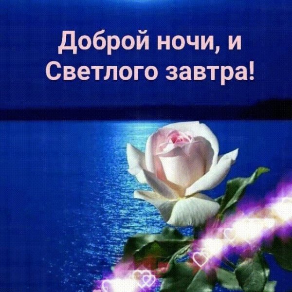 Доброго вечера и спокойной ночи