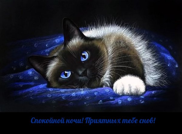 Доброй ночи приятных сновидений