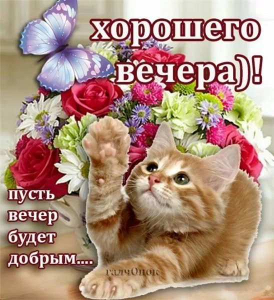 Поздравление с добрым вечером