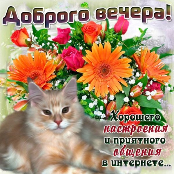 Открытка с добрым вечером и настроением