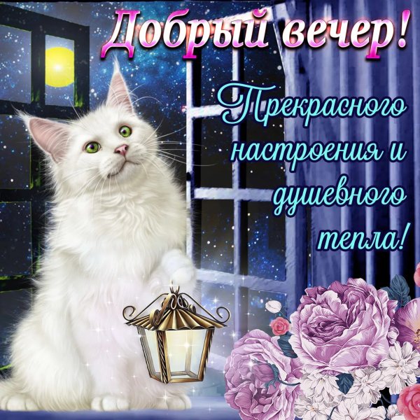 Поздравление с добрым вечером