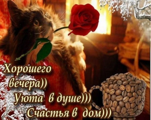 Пожелания хорошего вечера