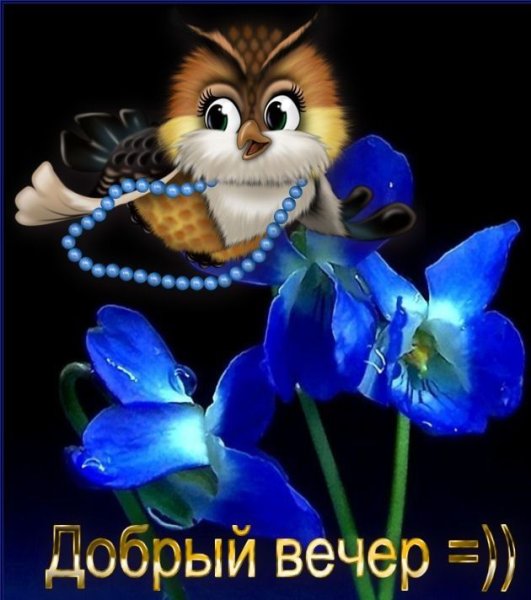 Поздравление с добрым вечером