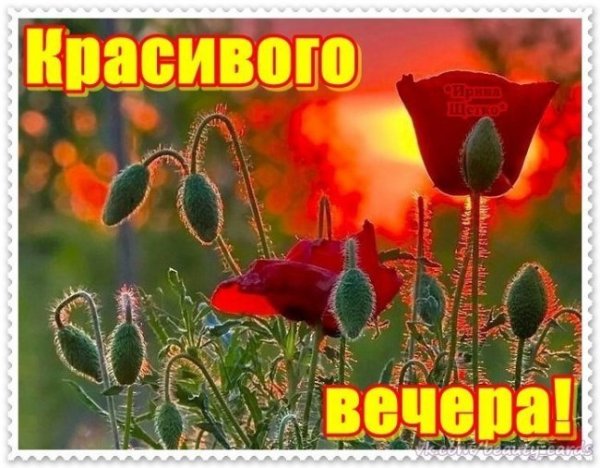 Приятного вечера вторника