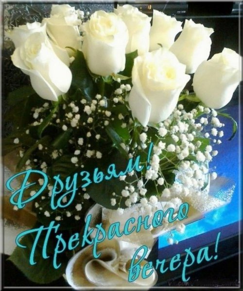 Хорошего летнего вечера и отличного настроения