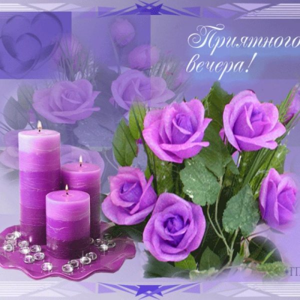 Добрый вечер зимний с собачкой