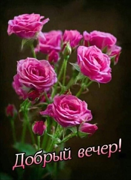 Добрый вечер красивые цветы