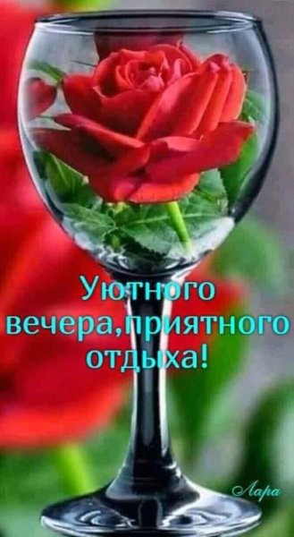 Роза в бокале