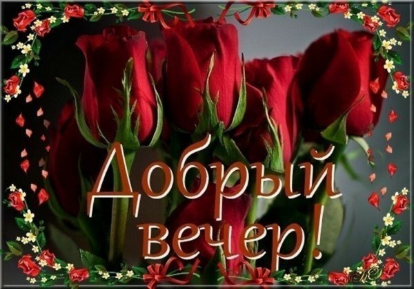 Добрый вечер Светочка