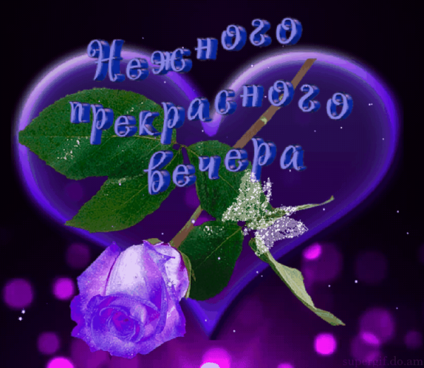 Стикеры добрый вечер