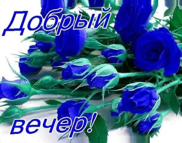 Добрый вечер группа