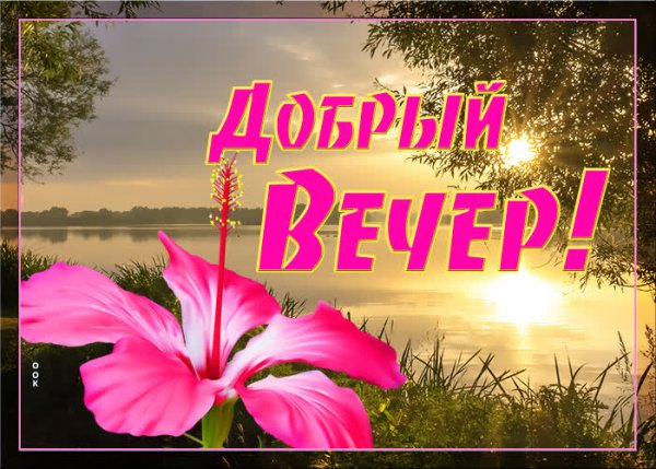 Добрый вечер Танюша