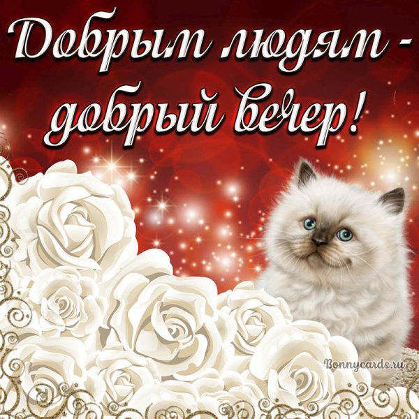 Добрый вечер Светлана