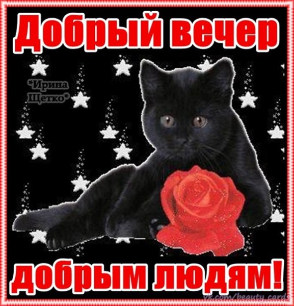 Поздравление с добрым вечером