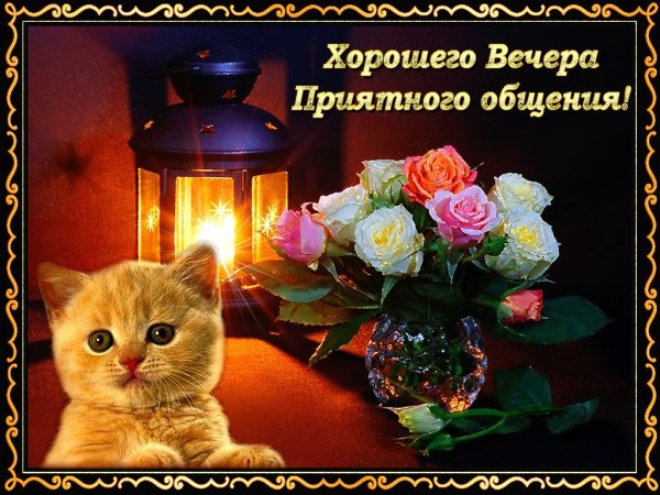 Хороший вечер
