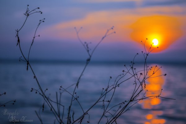 Спокойной апрельской ночи природа