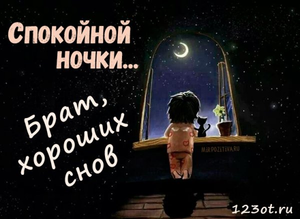 Спокойной ночи брат