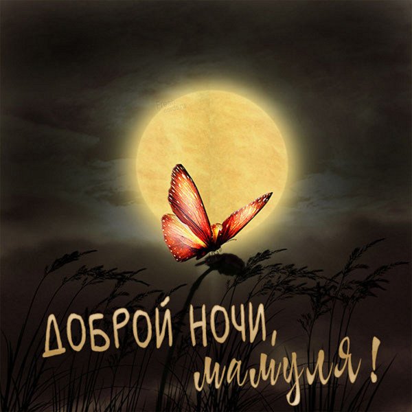 Доброй ночи мамуля