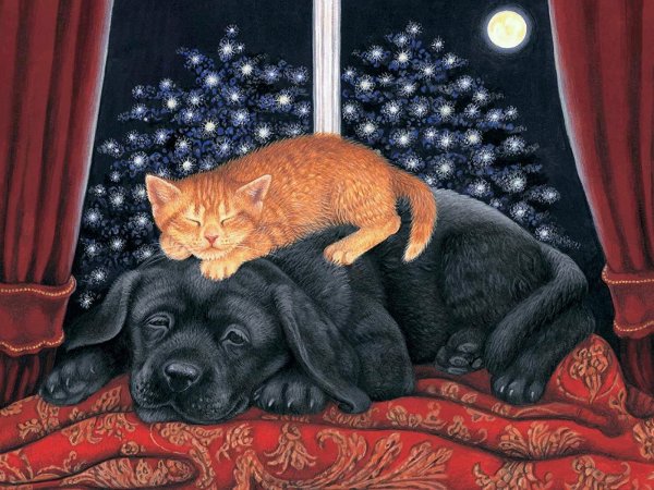 Спокойной ночи, кошки,собаки