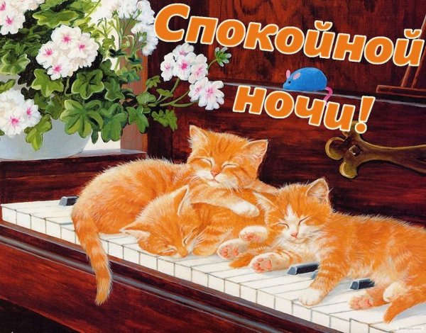 Теплого вечера
