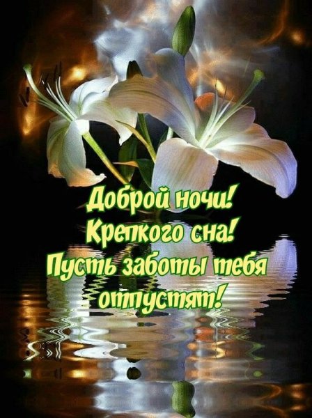 Доброго вечера и спокойной ночи