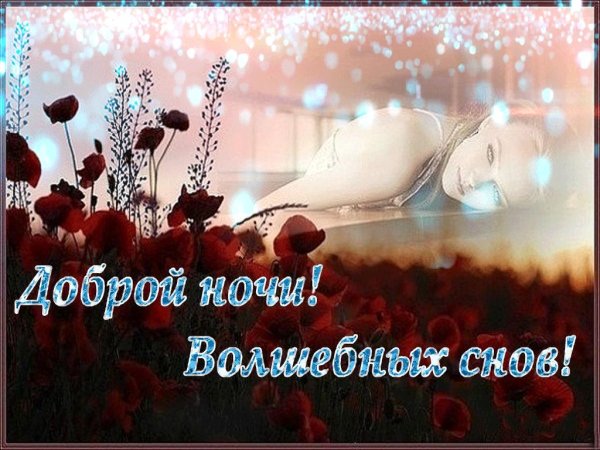 Дгбрый вечером и приятных снов
