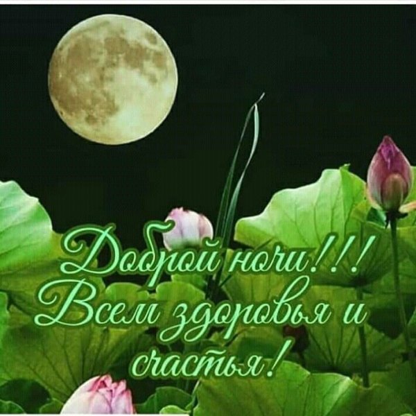 Доброго вечера и спокойной ночи