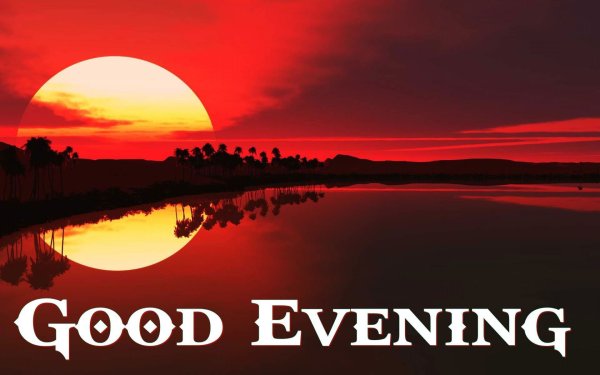 Good Evening гифки