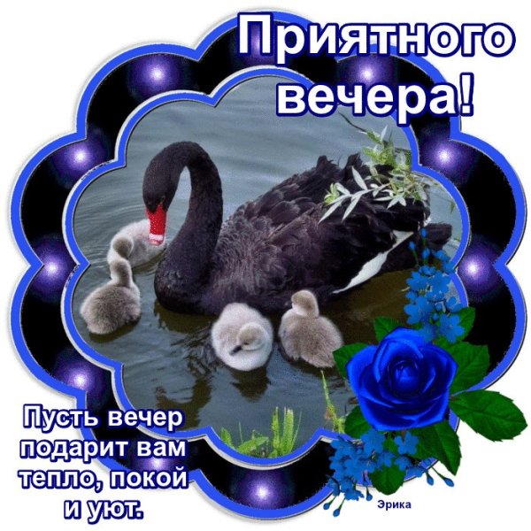 Добрый вечер