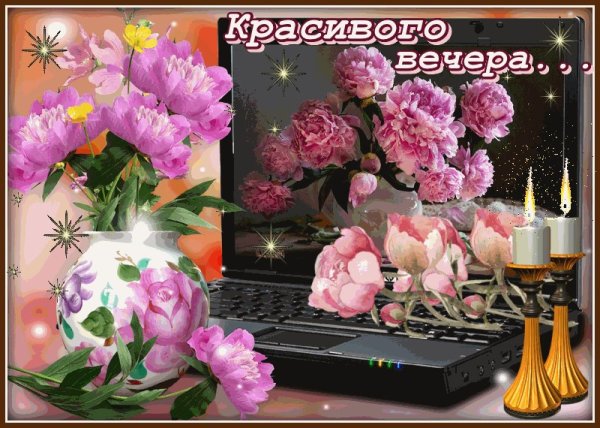 Приятного вечера