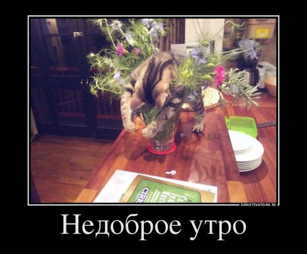 Вечер удался картинки