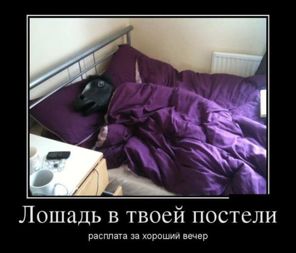Толстый кот у камина