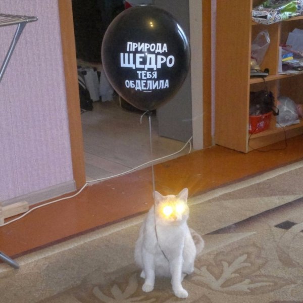 Возле камина с сигарой