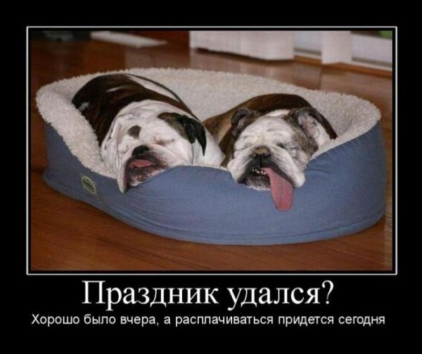Вечеринка пьянка