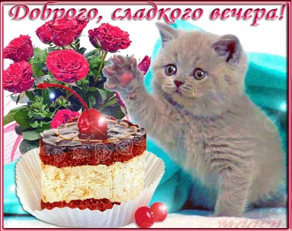 Доброе утро с рыжим котом