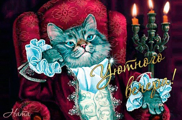 Спокойной ночи котик