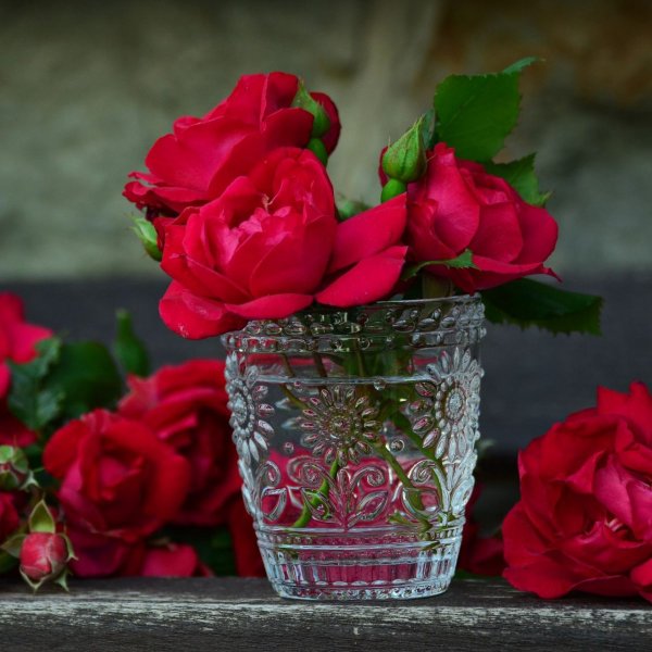 Картинка добрый вечер цветы розы (35 фото)