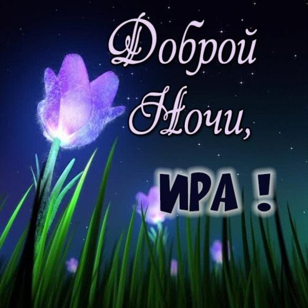 Прекрасного вечера милая