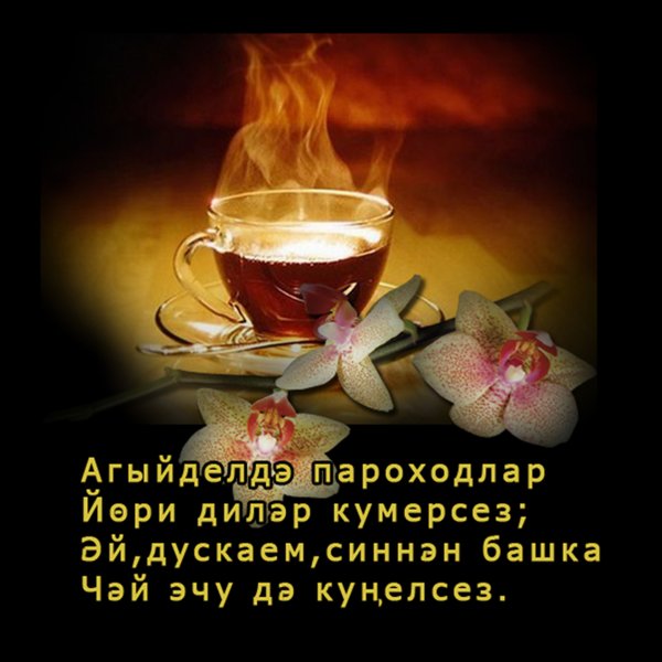 Спокойной ночи на татарском языке