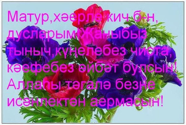 Красочного вечера
