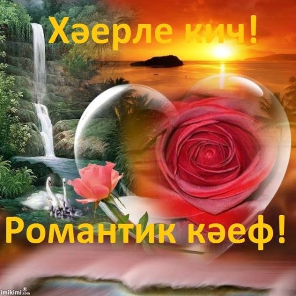 Хайерле кис